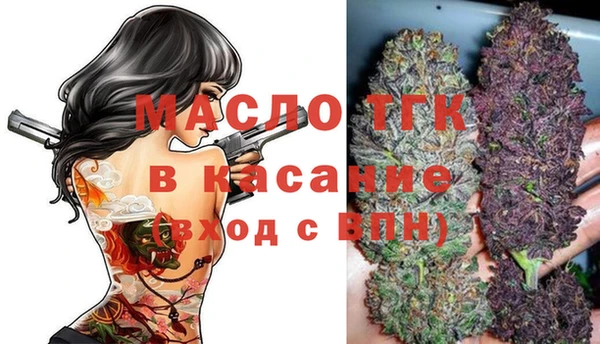СК Дмитров