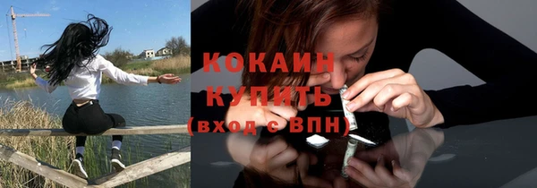 мдпв Ельня