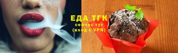 СК Дмитров