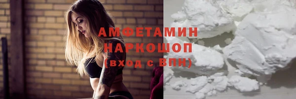 мдпв Ельня