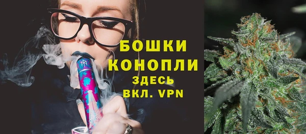 трава Дмитриев
