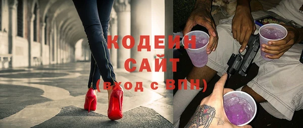 мдпв Ельня