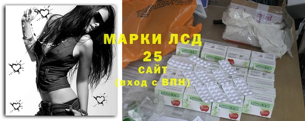 мдпв Ельня