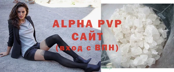 СК Дмитров